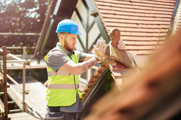 Best Gutter Installation and Roofing  in Dunwoody, GA