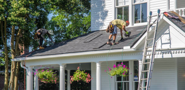 Best Roof Gutter Cleaning  in Dunwoody, GA